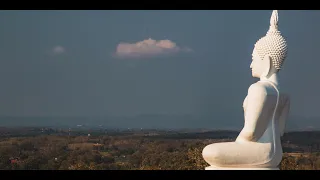 Relaxing Flutes | Healing Music for Meditation and Inner Balance