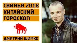 Гороскоп Кабан -2018. Астротиполог, Нумеролог - Дмитрий Шимко