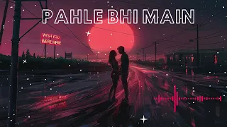 Pahle Bhi Main | Slow & Reverb | Lofi song | Animal Movie | Ranbir Kapoor | Tripti Dimri