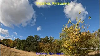 Краса осіннього лісу зачаровує@The beauty of the autumn forest is enchanting