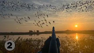 You Have NEVER Seen This Many Teal! It Was a War Zone Out There!