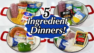 5 TASTY ONE POT MEALS | 5-INGREDIENT RECIPES | DINNERS MADE FAST & EASY!! | JULIA PACHECO