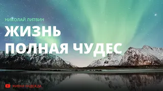 Жизнь полная чудес (Николай Литвин)