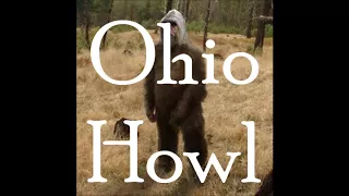 The Ohio Howl - Bigfoot Sound Recording