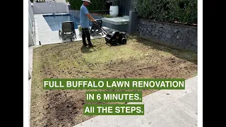 ALL THE STEPS to a (Sir Walter) BUFFALO LAWN RENOVATION in 6 MINUTES.