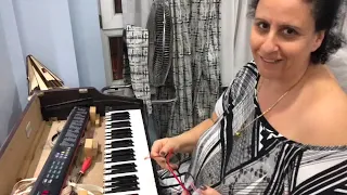 Şeyla Halis Dijital Piano Tamiri