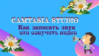 Как Записать  звук или озвучить видео в Camtasia Studio