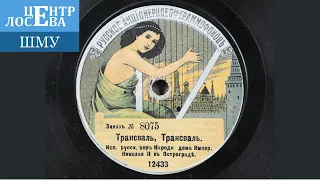 Песня «Трансвааль» в русской литературе XX-XXI вв. Школа молодого ученого (11.11.22)