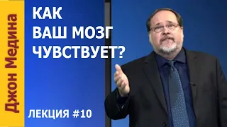 Как Ваш Мозг чувствует?  💥 Джон Медина — Ваш уникальный мозг — Лекция №10