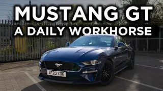 EPISODE 11 - daily driving my MUSTANG