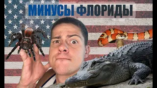 Минусы жизни во Флориде. Для вас это может быть очень критично!