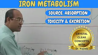 Iron Metabolism | Source | Absorption | Toxicity and Excretion🩺