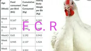 FEED CONVERSION RATIO (FCR)IN POULTRY FARM