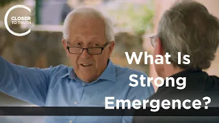 George F. R. Ellis - What Is Strong Emergence?