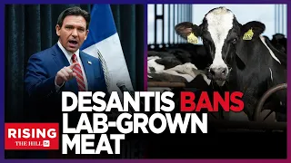 Meatless Mania?! DeSantis BANS Lab-Grown Meat; Vows To 'SAVE OUR BEEF'