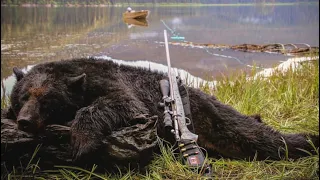 Coastal Black Bear Hunting - Southeast Alaska