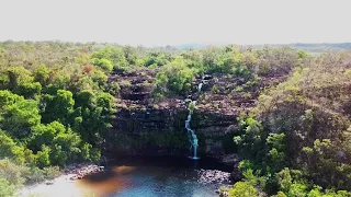 Cerrado, a 'floresta de cabeça para baixo' que leva água à boa parte do Brasil