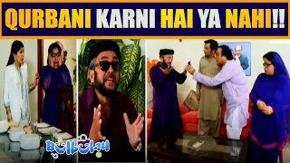 Qurbani Bakray ki Karni Hai Ya Gaaye ki 😲🤭 Khoobsurat | Bulbulay