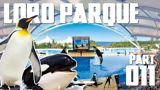 Loro Parque / Awesome Killer Whales, beautiful park  //011 Tenerife the vlog