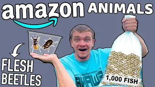 I Bought Crazy Animals You Didn't Know were Sold on Amazon!