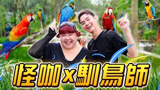 【怪咖 x 馴鳥師】喂3500隻鳥是什麽樣的感覺？! 😱 挑戰亞洲最大的飛禽公園！【ENG SUBS】