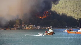 Vermutete Brandstiftung: Waldbrände in der Türkei