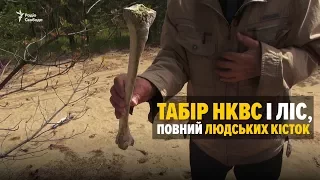 Лагерь НКВД и лес, полный человеческих костей