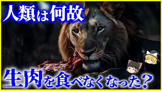 【ゆっくり解説】肉食獣はなぜ平気？人類が「生肉」を食べなくなった本当の理由を解説/生肉を食べ続けるとどうなる？人類の食の進化史