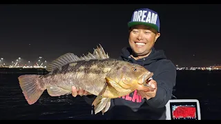 One of The Biggest Calico Bass Off The Wall Cast to Catch Videos