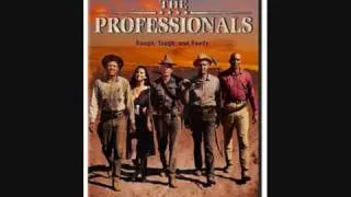 The Professionals Theme