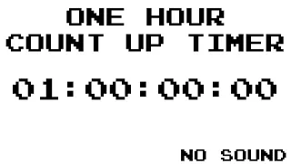 ONE HOUR COUNT UP TIMER / NO SOUND / 1 HOUR