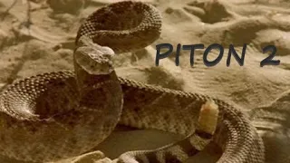 Piton 2 (2001) 🎞