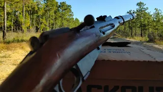 Mosin Nagant 100 Yards on Bench