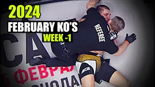 MMA & Boxing Knockouts I February 2024 Week 1