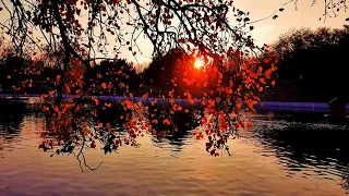 Autumn Evening on the Pond, Sunset Relax video