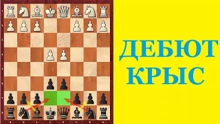 КРЫСИНАЯ ЗАЩИТА. КОВАРНЫЙ ДЕБЮТ В ШАХМАТАХ. Школа шахмат d4-d5.