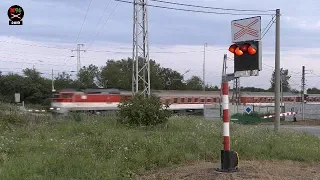 Železničné priecestie Bánovce nad Ondavou #1 (SK) - 29.7. + 1.8.2019 / Žel. přejezd / Level crossing