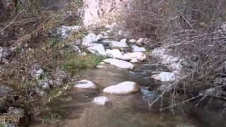 Bear Creek Scenery San Bernardino Mountains