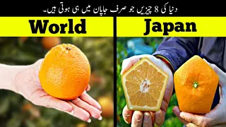 8 Things Only Happen In Japan | دنیا کی وہ چیزیں جو صرف جاپان میں ہوتی ہیں | Haider Tv