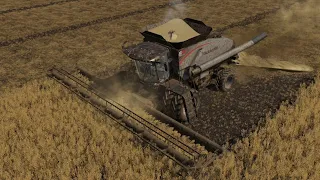 Farmersburg Ep#46 | Harvest | FS19 Timelapse | Farming Simulator 19 Timelapse