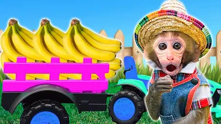 DoDo Baby Monkey Fun Farm Adventure | The Challenge of Driving a Tractor to Harvest Bananas