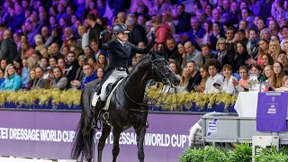 WinHorses' Flynn FRH - CDIW Mechelen - 291223 - GPFS 80.3%