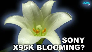 BLOOMING? Sony X95K Backlight Master Drive