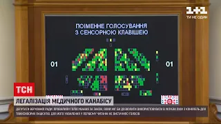 Новини України: у Верховній Раді знову провалили голосування за легалізацію медичного канабісу