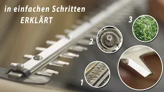 Heckenschere Messer schärfen - Schritt für Schritt einfach erklärt