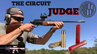 Circuit Judge - REVIEW