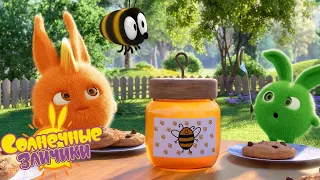 Печенье и мед - Солнечные зайчики | Сборник мультфильмов для детей