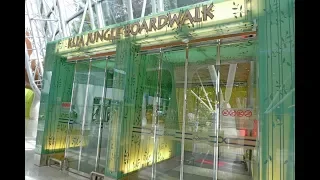 KLIA AIRPORT - Jungle Boardwalk