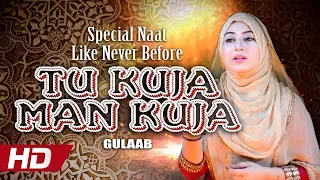 Special Naat Like Never Before || Tu Kuja Man Kuja || Gulaab || Hi-Tech Islamic - Beautiful Naat