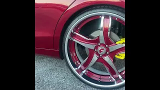 All red fleet!!! All on forgiato wheels